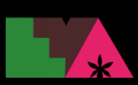 Comunicado sobre Dendrobium